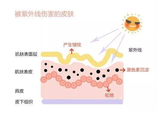 过度的紫外线照射对皮肤有哪些伤害?